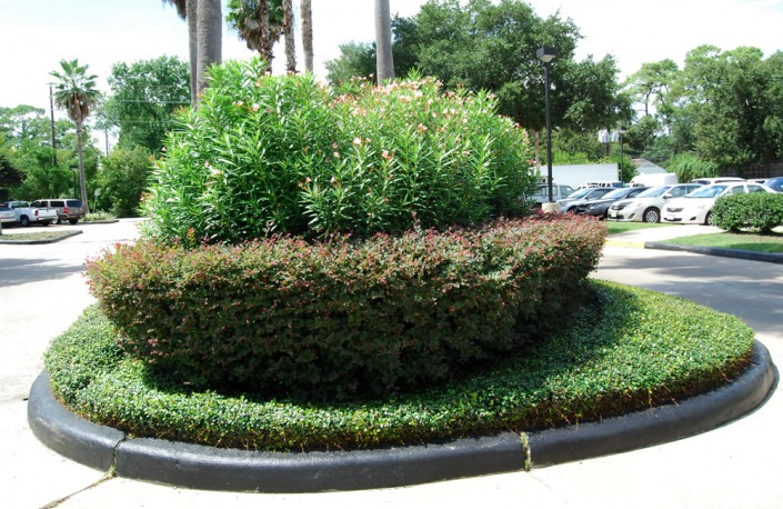 commercial landscaping, houston