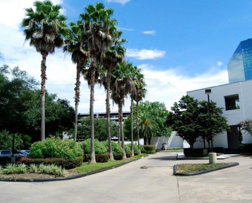 houston, commercial landscaping, tree service